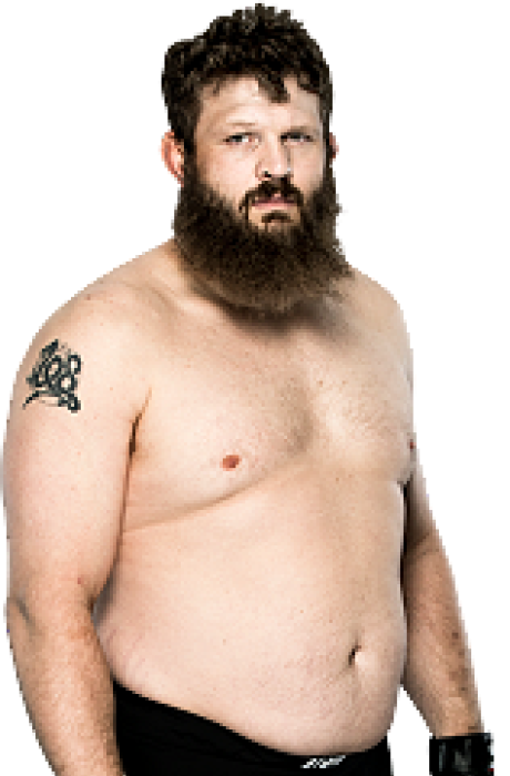 Portrait de Roy Nelson