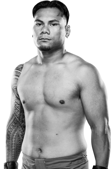 Portrait de Al Matavao