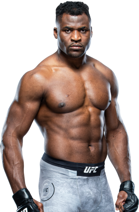 Portrait de Francis Ngannou